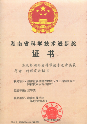 刘小文 刘小文