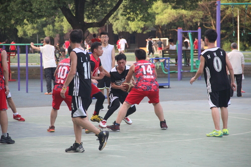 IMG_6230 IMG_6230