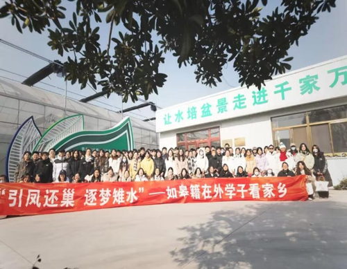 图片7 图片7