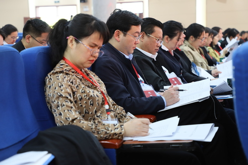 IMG_2550 IMG_2550